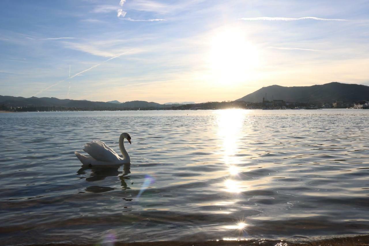 Boulevard De La Mer 33 Apartam 11 Hendaye Dış mekan fotoğraf